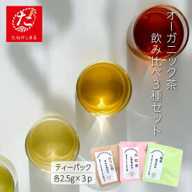 【ふるさと納税】＼ R8年産 ／ 【たねがしまる4000】種子島 ティーパック 3点セット オーガニック 農薬不使用 一番茶 自園自製 新茶 緑茶 煎茶