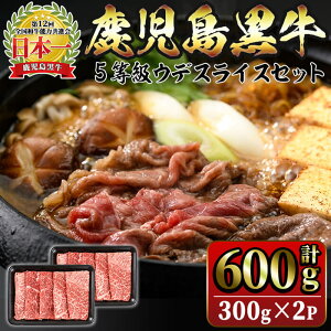 yӂ邳Ɣ[Łz5EfXCXZbg(v600gE300g×2P)    ₫ Ԃ  Ef XCX Y Y ⓀyJAzB2-160