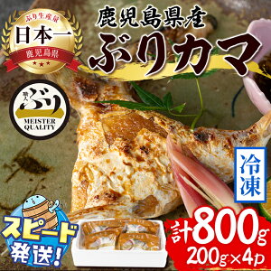 yӂ邳Ɣ[Łz͂IYⓀԂJ}(v800gE200g×4)Ԃ u   CN  J} Y Y sY  Ⓚ {B ԂElyANAu[zA1-47162