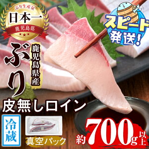 yӂ邳Ɣ[Łz͂IY①Ԃ 疳C (v700gȏEwA v2P)Ԃ u   CN  hg   Ԃ ċ ϋ C 疳 g Y 