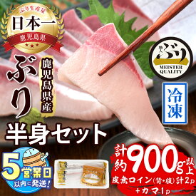 【ふるさと納税】＜すぐ届く！＞鹿児島産冷凍ぶり 半身セット(計900g以上・ロイン背側、腹側計2P、カマ1P)ぶり ブリ 鰤 魚 海鮮 刺身 さしみ しゃぶしゃぶ 焼魚 煮魚 ロイン 皮無し 半身 ぶりかま カマ 国産 鹿児島県産 垂水市 冷凍 養殖【アクアブルー】B2-4769