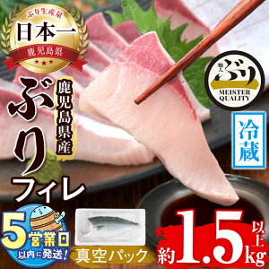 �y�ӂ邳�Ɣ[�Łz�������͂��I���������Y�①�Ԃ�t�B��(1.5kg�ȏ�E���g1��)�Ԃ� �u�� �� �� �C�N ���� �h�g ������ �Ԃ肵��� �u������� ����Ԃ���� �ċ� �ϋ� �t�B�� ���g �Аg ���Y ��