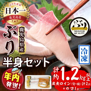 �y�ӂ邳�Ɣ[�Łz�y�N�������z�������͂��I���������Y�Ⓚ�Ԃ� ���g�Z�b�g(�v1.2kg�ȏ�E���C���w���A�����v2P�A�J�}1P)�Ԃ� �u�� �� �� �C�N �h�g ������ ����Ԃ���� �ċ� �ϋ� �疳�� ��