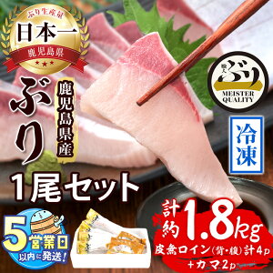 yӂ邳Ɣ[Łz͂IYⓀԂ1Zbg(v1.8kgȏECwAv4PAJ}2P)Ԃ u   CN  Zbg hg   Ԃ ϋ C 疳 