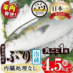 �y�ӂ邳�Ɣ[�Łz�y�N�������z�������͂��I���������Y�Ԃ�ۂ���1��(4.5kg�ȏ� ���������Ȃ�)�Ԃ� �u�� �� �� �C�N ���� �h�g ������ ����Ԃ���� �ċ� �ϋ� �ۂ��� ���Y ���������Y �����s