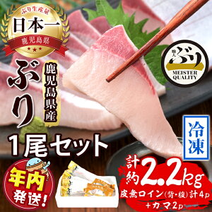 �y�ӂ邳�Ɣ[�Łz�y�N�������z�������͂��I���������Y�Ⓚ�Ԃ�1���Z�b�g(�v2.2kg�ȏ�E���C���w���A�����v4P�A�J�}2P)�Ԃ� �u�� �� �� �C�N ���� �Z�b�g �h�g ������ �� ����Ԃ���� �ϋ� ��