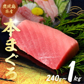【ふるさと納税】【期間限定】【内容量が選べる！】鹿児島県産 本マグロ(240g or 500g or 1kg)魚 魚介 海鮮 まぐろ 鮪 マグロ 赤身 中トロ 大トロ 刺身 鉄火丼 海鮮丼 柵 真空パック 冷凍 国産 鹿児島産 垂水市【東海シープロ】