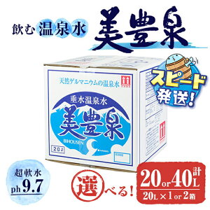 yӂ邳Ɣ[Łzy֑Ήz͂Iމ/L (20L×1or2 / 6 v6 or 12 v12)  ~lEH[^[  VJ   20L BIB obNC{bN