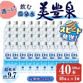 【ふるさと納税】【定期便対応】＜すぐ届く！＞飲む温泉水/美豊泉 (500ml×40本 / 定期便6回 計240本 or 定期便12回 計480本) ) 水 ミネラルウォーター 温泉水 シリカ水 軟水 超軟水 ペットボトル 500ml 定期便 国産 鹿児島産 垂水市 常温 常温保存【池田建設】