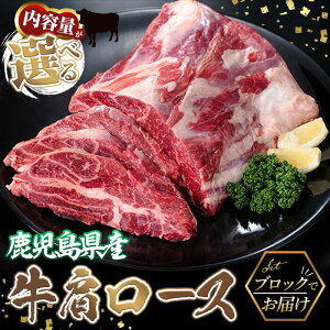 yӂ邳Ɣ[ŁzyʌzeʂIׂIYqc [X ubN    ubN Ԑg [X [X [X ^ ^pbN Xe[L [Xgr[t 