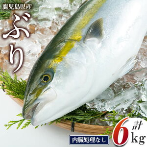 yӂ邳Ɣ[Łzs\񁄎Y Ԃ܂邲1 Ȃ(v6kgȏ) Ԃ u  CN  hg  ς ϕt Ԃ Y Y 1 Eh ① yL