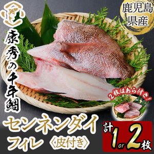 yӂ邳Ɣ[ŁzyeʂIׂIzsYNG̐N tB  1 or 2iv300g or 600gj  CN Zl_C N hg  Ԃ Ⓚ Y j 