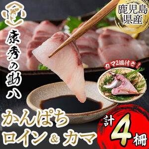 yӂ邳Ɣ[Łzy①orⓀIׂIzNG̊ C4{J}2iv1.8kgOj   CN ς Jp` hg  Ԃ Ⓚ Y j Y y