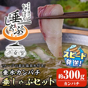 yӂ邳Ɣ[Łz͂IYi]܁Jp`ԂԁuԃZbgv(Jp`EƂƂCVX[vE99) ς CN CV X[v ~lEH[^