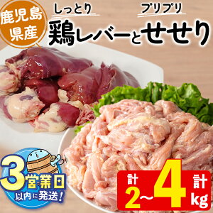 yӂ邳Ɣ[Łz͂IyeʂIׂIzY{o[&Zbg(v2kg or v4kg) { Ē g o[ oj Ē C Ðh g   lb