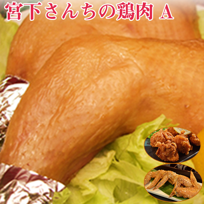 【ふるさと納税】宮下さんちの鶏肉A セット・詰め合わせ