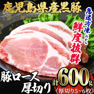 yӂ邳Ɣ[ŁzY [X(5`6Ev600g)  ؓ   [X Xe[L ؂ ē Ƃ񂩂 gJc Y Y  Ⓚ }Ⓚ ^pbNyXXzA1-