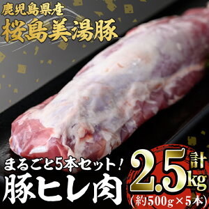 yӂ邳Ɣ[ŁzY ؃q(v2.5kg)ؓ   Ԑg q q ؃q Ƃ񂩂 \e[ eL [Xg Ă Y Y ⓀyXXzC3-3022