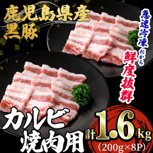 yӂ邳Ɣ[ŁzY u؁vēEBBQpJr(v1.6kgE200g×8P) ؓ   Jr o ؃o ē Ă BBQ  ^pbN Y Y ⓀyXXzB2-3080