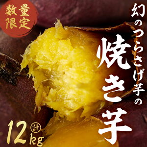 yӂ邳Ɣ[Łzyʌzqs\r炳 Ă(500g×24P) ܂  ܈ Tc}C َq Yn  ʌ g͂邩  aXC[c Ă 