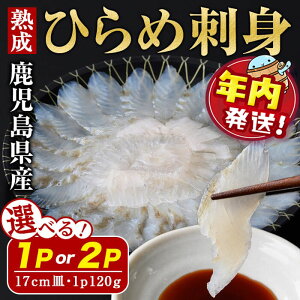 yӂ邳Ɣ[ŁzyNzY܎܁͂IyeʂIׂzY nqhg 17cmM v120g(1P) or v240g(120g×2P) Ⓚ   CN q Ђ  h