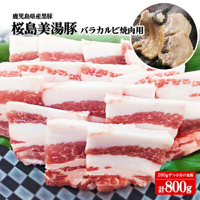 記事番号:142/アイテムID:516694の画像