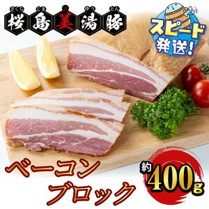 �y�ӂ邳�Ɣ[�Łz�������͂��I�����������Y���������� �x�[�R���u���b�N ��400g �� �ؓ� �x�[�R�� �u���b�N ���� ���Y ���������Y ������ �p�X�^ �|�g�t �^�� �^��p�b�N �y����~�[�g�Y�Ɓz