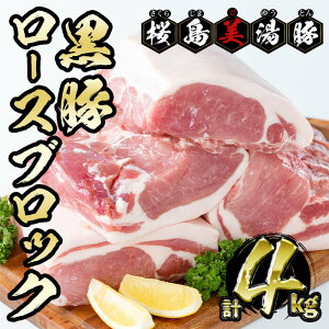 yӂ邳Ɣ[Łz2TԈȓɔIY  [XubN v4kg (4) ؓ   [X [X ubN Xe[L [Xg|[N gJc Y Y 