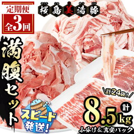【ふるさと納税】＜すぐ届く！＞【定期便・全3回】小分け＆真空パック！鹿児島県産桜島美湯豚 満腹セット＜計8.5kg(計24袋)＞ 豚肉 豚 肉 定期便 小分け 真空 バラエティ 小間切れ こま切れ 切落し 豚バラ しゃぶしゃぶ 国産 冷凍【大隅ミート産業】F6-0401