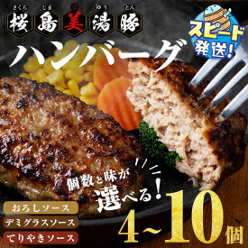 【ふるさと納税】＜すぐ届く！＞【個数と味が選べる！】 鹿児島県産 桜島美湯豚 ハンバーグ ＜（おろし・デミグラス・てりやきソース）（計4・8・10個）＞ 国産 肉 お惣菜 おかず 簡単調理 冷凍 小分け パック お試し セット【大隅ミート産業】