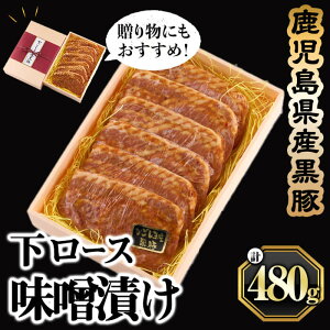 yӂ邳Ɣ[ŁzY [X XЂ (80g×6 v480g) Y Y   ؓ  [X XЂ ⓀyGXI[V[zB2-0858