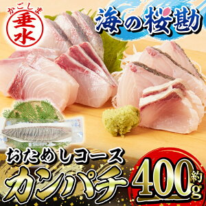 yӂ邳Ɣ[ŁzsYJp`wC̍x߂R[X(疳C 400g)  CN Jp` ς  hg  Ԃ ① Y Y ys