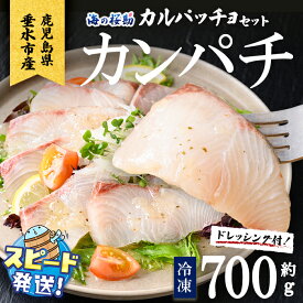【ふるさと納税】＜すぐ届く！＞＜10営業日以内に発送！＞鹿児島県垂水市産カンパチ『海の桜勘』カルパッチョセット(皮無しロイン 約700g+ドレッシング1本) 魚 魚介 海鮮 セット カンパチ かんぱち 勘八 刺身 柵 冷凍 国産 鹿児島産 垂水【垂水市漁業協同組合】A1-0126