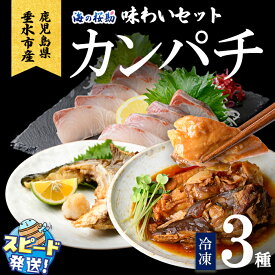【ふるさと納税】＜すぐ届く！＞＜10営業日以内に発送！＞鹿児島県垂水市産カンパチ『海の桜勘』味わいセット(皮無しロイン・カマ・あら煮)魚 魚介 海鮮 セット カンパチ かんぱち 勘八 刺身 柵 カマ あら煮 冷凍 国産 鹿児島産 垂水【垂水市漁業協同組合】A1-0127