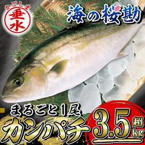 yӂ邳Ɣ[ŁzsYJp`wC̍x܂邲1i3.5kgȏj ①   CN Jp` ς  1{ hg Ԃ  Y Y ys