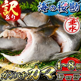 【ふるさと納税】【訳あり】【内容量が選べる！】鹿児島県垂水市産カンパチ『海の桜勘』カマ 1〜2P(計800g以上or1.6kg以上) 魚 魚介 海鮮カンパチ かんぱち 勘八 カマ かま 塩焼き 煮付け 冷凍 国産 鹿児島産 垂水【垂水市漁業協同組合】