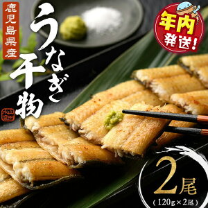 yӂ邳Ɣ[ŁzyNzY Ȃ 2(120gȏ×2) V Ȃ   ܂  Ē r[ { ƈ  Ă Ⓚ   syRc