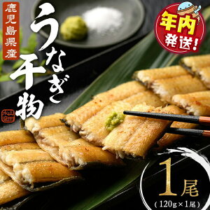 yӂ邳Ɣ[ŁzyNzY Ȃ 1(120gȏ) V Ȃ   ܂  Ē r[ { ƈ  Ă Ⓚ   syRcYz