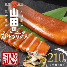 【ふるさと納税】【訳あり】国産からすみ 片腹3本（210g以上）選べる！うなぎ干物1尾付きセット カラスミ 唐墨 おつまみ 干物 干し物 魚卵 珍味 冷凍 鹿児島県 垂水市【山田水産】