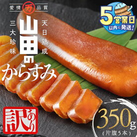【ふるさと納税】＜すぐ届く！＞【訳あり】国産からすみ 片腹5本（350g以上）カラスミ 唐墨 おつまみ 魚卵 珍味 冷凍 小分け 鹿児島県 垂水市【山田水産】B2-1801