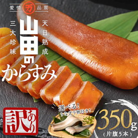 【ふるさと納税】【訳あり】国産からすみ 片腹5本（350g以上）選べる！うなぎ干物1尾付きセット カラスミ 唐墨 おつまみ 干物 干し物 魚卵 珍味 冷凍 鹿児島県 垂水市【山田水産】