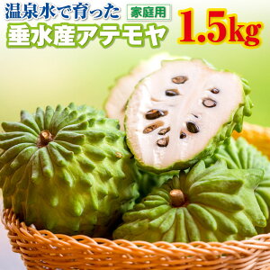 yӂ邳Ɣ[Łz 󂠂 t[c Ae ƒp 1.5kg 3`7ʂł͂ Ԍ ʕ X ACXN[ ƌĂ΂ÂĂȂ߂炩ȐH gsJt[c gsJ 썑 `F