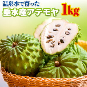 yӂ邳Ɣ[Łz yGizt[c Ae 1kg 2`4ʂł͂ Ԍ ʕ X ACXN[ ƌĂ΂ÂĂȂ߂炩ȐH gsJt[c gsJ 썑 `F o