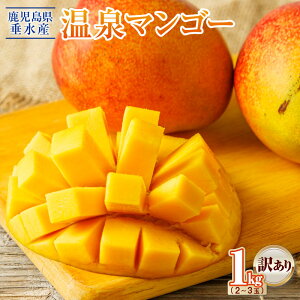 yӂ邳Ɣ[Łzy󂠂zys\z}S[1kg 2`3ʂł͂ t[c ʕ gsJt[c gsJ n}S[ }S[ Z Â Yn  yzA1-22552