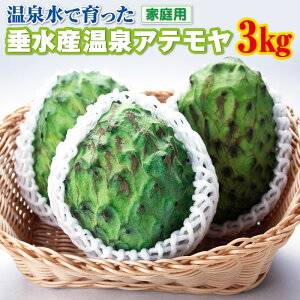 yӂ邳Ɣ[Łz 󂠂 t[c Ae ƒp e 3kg 6`14ʂł͂ Ԍ ʕ X ACXN[ ƌĂ΂ÂĂȂ߂炩ȐH gsJt[c gsJ 썑 