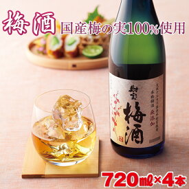 【ふるさと納税】 梅酒 4本セット 国産梅だけを使った濃厚な味わい。炭酸割り・水割りでもどうぞ！鹿児島県 垂水市 お酒 アルコール 果実酒 A1-22454