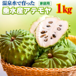 yӂ邳Ɣ[Łz󂠂 t[c Ae ƒp 1kg 2`5ʂł͂ Ԍ ʕ X ACXN[ ƌĂ΂ÂĂȂ߂炩ȐH gsJt[c gsJ 썑 `F