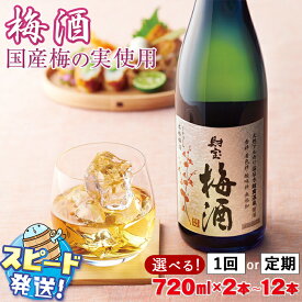 【ふるさと納税】 梅酒 2本セット 国産梅 国産はちみつ 使用 濃厚な味わい 4合瓶 720ml アルコール 12度 天然アルカリ温泉水 財寶温泉 使用 本格梅酒 定期便 ストレート ロック 炭酸割り 水割り 女性 人気 鹿児島県 すぐ届く【財宝】