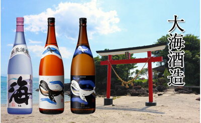 【ふるさと納税】大海酒造1800ml3本セット