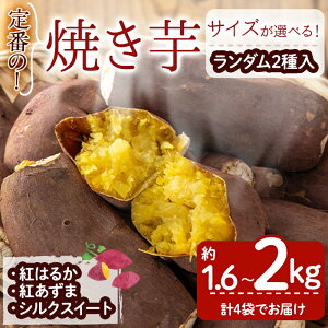 yӂ邳Ɣ[ŁzyTCYIׂzĂԃZbgi1.6kg or 2kgjĂ ₫ g͂邩 VN g ܂ ܈ _sgp Yfz_@  Y Yyirodo